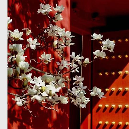 Hotel Cote Cour Deductive Beijing - Quadrangle Close To Tiananmen Square & Forbidden City & Nanluoguxiang, Walk To Wangfujing, English Speaking, Free Wifi, Free Laundry, Free Wonton & Noodles With Tour Ticket Service, Free Selfies With Ancient Costum ภายนอก รูปภาพ