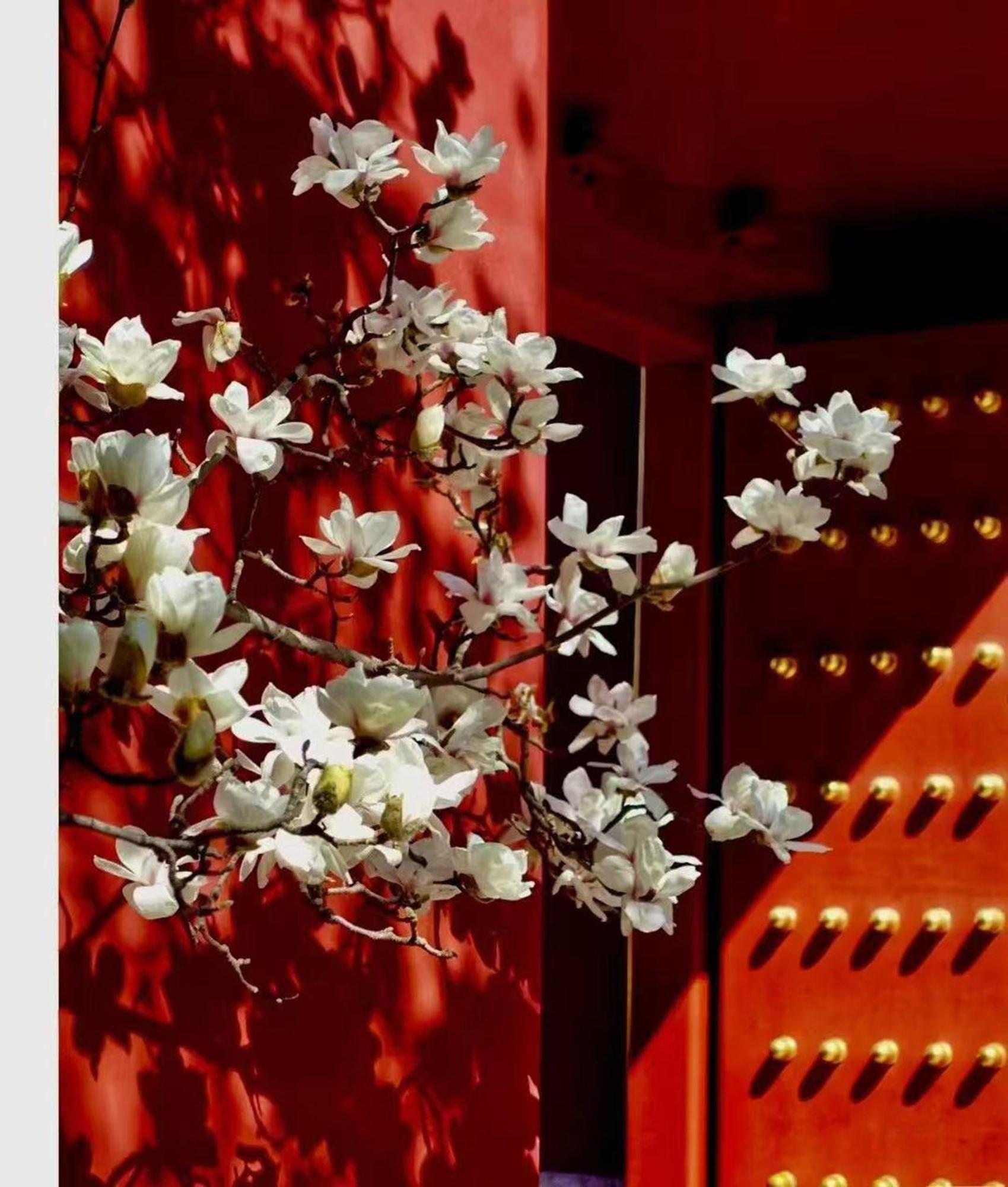 Hotel Cote Cour Deductive Beijing - Quadrangle Close To Tiananmen Square & Forbidden City & Nanluoguxiang, Walk To Wangfujing, English Speaking, Free Wifi, Free Laundry, Free Wonton & Noodles With Tour Ticket Service, Free Selfies With Ancient Costum ภายนอก รูปภาพ